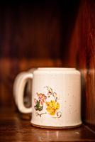 Alloggio turistico di Bandini Diego Hunter's House - B&B Torre Alfina