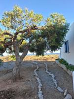 Melissa Apartments - B&B Frangokástellon