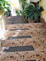 Pacific View Apartment - B&B Roseau