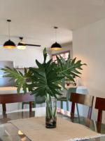 Beach house Chuchos - B&B Chelem