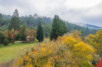 Toorongo Valley Estate - B&B Noojee