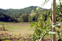 Ca' D'la Pèisa - B&B Murisengo