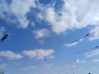 Apartment for rent with a magical view - Chambres d’hôtes Alexandrie