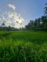 Penempuran cottage - B&B Masbagik