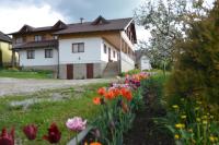 Pensiunea Arina - B&B Vatra Dornei