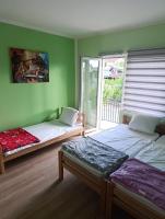 Tara - B&B Surdulica