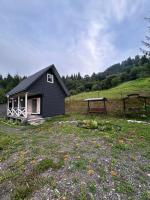 Будинок на горі Борщевиця - Ferienwohnung Kvas’ni