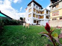 Herald spring - B&B Srinagar