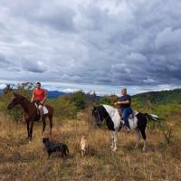 Nature Nest Više Selo - B&B Blace