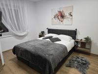 Prenočišca Dany 4 - B&B Dravograd
