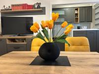 Hram View Apartment, Valjevo Center - B&B Valjevo