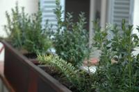 Ghibellino B&B - Chambres d’hôtes Arezzo