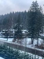 Velvet by Poiana Brasov Saună &Jacuzzi - B&B Poiana Brasov