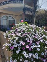 Lenico Beachfront Suites - B&B Agia Pelagia