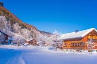 Apartment ue433 - B&B Mellau