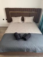 Grand Trio Apartment - B&B Filippopoli