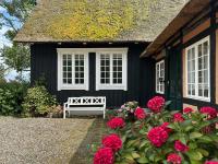 Historic Doctor's Residence By Corselitze Forests - Ferienwohnung Nykobing Falster