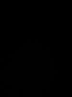 Zlatiborski Cvet - Ferienwohnung Zlatibor