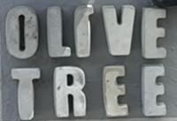 Olive tree private rooms in Stellenbosch- No Load Shedding - B&B Stellenbosch