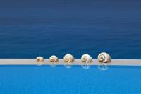 Milos Paradise Luxury Villas - B&B Ágios Nikítas