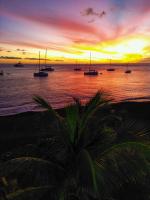 Ti Kaz Houelmont, Vue jardin tropical, proche plage de Rivière-Sens - B&B Gourbeyre