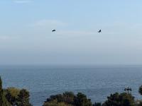 Best sea view - B&B Baku