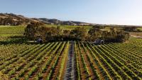 Seabrook Vineyard Retreat - Bed and Breakfast Vine Vale