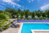 Exklusives Ferienhaus mit Privatpool, Whirlpool, Meerblick, Billard, Tischtennis, Fitnessgeräte - Ferienwohnung Crikvenica