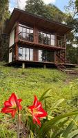 Chiraco cabins native jungle - B&B La Vega