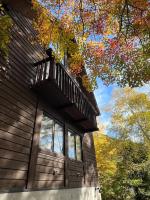 Cabin E Jacuzzi BBQ Hammock Lake Saiko Mt Fuji - B&B Fujikawaguchiko