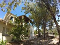 Olive Villas - B&B