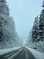 Тиша лісу - Ferienwohnung Volia-Blazhivska