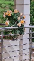 Ashley's Cottage - B&B Himeville