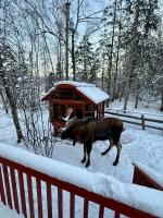 Hot Tub Stunning Mountain Views 2 kitchens 4 bedroom 2 bathroom - Chambres d'hôtes Anchorage