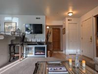 Peaceful Sunny Ski Out Ski In Condo, Parking, Pets - B&B Telluride