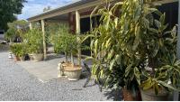 Pet Friendly Studio with Views Near Hahndorf - Bed and Breakfast Mylor