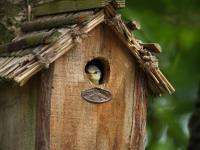 Gîtes spacieux avec jardin - B&B Chérisey