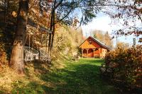 Chatka Dziadka Sudety - niedaleko Czarna Góra - Bed and Breakfast Stronie Śląskie