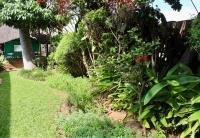 The Leafy Haven Guest Home - B&B Harare