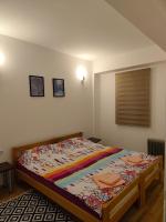Borjan Apartment Mavrovo - B&B Mavrovo