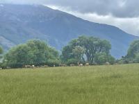 Alkea heights - B&B Makarora