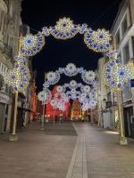 La Mulhousienne F3 Centre ville - B&B Mulhouse