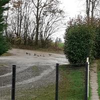 gite piscine campagne - B&B Saint-Sauveur-des-Landes