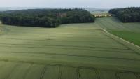 Zwischen Wald und Wiese - B&B Lilach