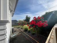 A convenient stay - B&B Hamilton