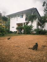 Fluffy Cat Paradise - B&B Ban Khao Pip