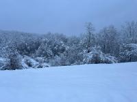 Kuća za odmor LO - B&B Lipovlje