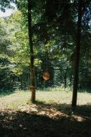 Waldresidenz Deluxe - B&B Perg