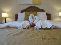 Bahama Bay Resort- Near Disney-pools & Beach for 6 - Chambres d'hôtes Davenport