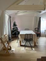 Les baleines - hypercentre 2 chambres avec garage et clim - air conditioning - B&B Grenoble